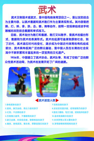 武术