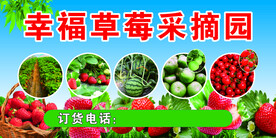草莓园  生态园