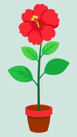 芙蓉花平面插图