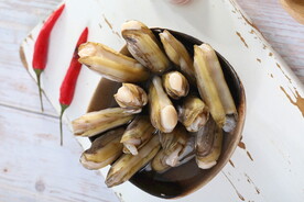 鲜活蛏子