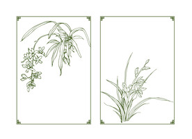 兰花