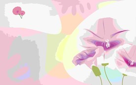 牵牛花