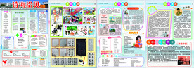 校报 报刊