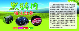 简介