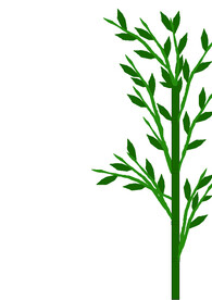 节日专用竹子素材