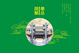 凤凰单丛
