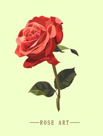 玫瑰花素材