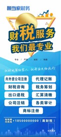 财税服务