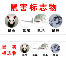 鼠害标志物