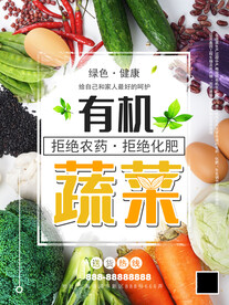 有机蔬菜海报