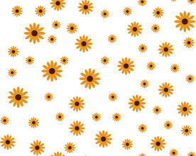 手绘菊花