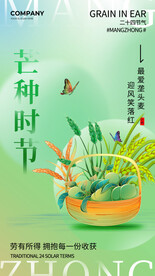 芒种