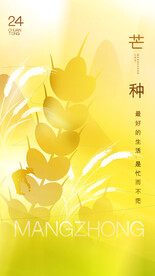 芒种