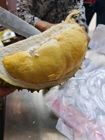 金枕  榴莲