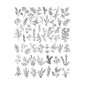 矢量线条花草素材