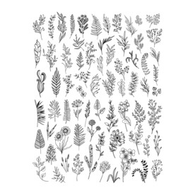 矢量线条花草素材