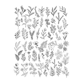 矢量线条花草素材