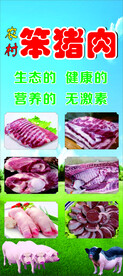 海报   易拉宝