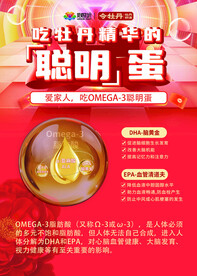 聪明蛋