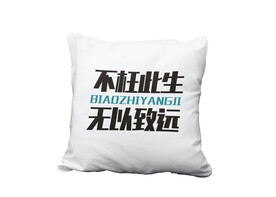 枕头抱枕样机 