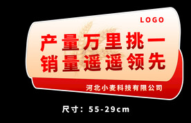 手举牌异形牌