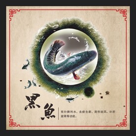 黑鱼