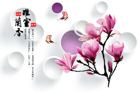 玉兰花