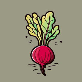 甜菜蔬菜手绘矢量插画