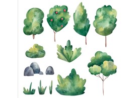 手绘植物