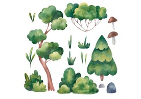 手绘植物