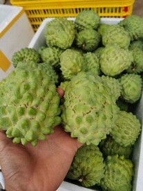 释迦果   水果    平果 