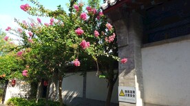 山东烟台蓬莱阁旅游园林