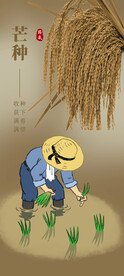 芒种插秧丰收海报