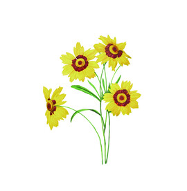 黄花