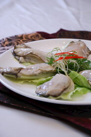 生蚝 桶蚝