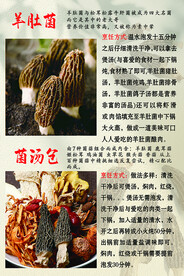 羊肚菌宣传页背面