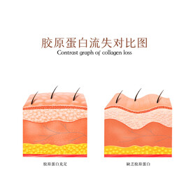 胶原蛋白