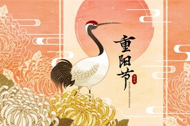 中国风仙鹤          