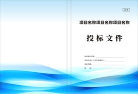 投标文件