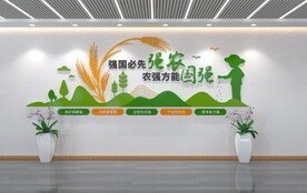 新农村文化墙