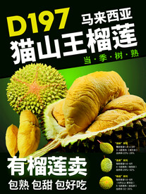 推广榴莲海报