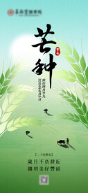 芒种二十四节气移动端海报