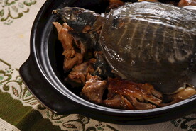 甲鱼煲