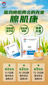 畜牧产品海报