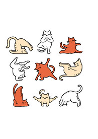 卡通猫图案