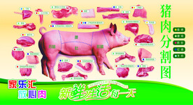 猪肉分割图