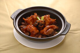 蛇肉羊腩煲 