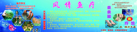 鱼疗养生