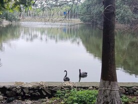 岁月静好 