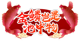 手举牌